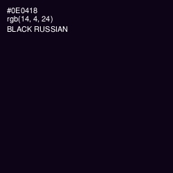 #0E0418 - Black Russian Color Image